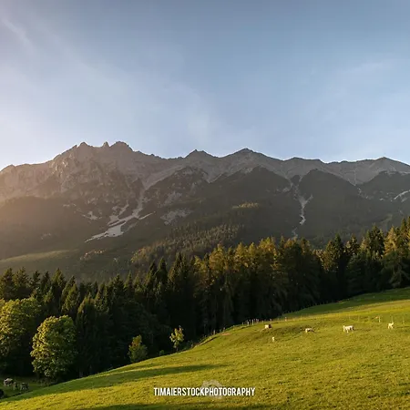 Alpenblick Apartment *