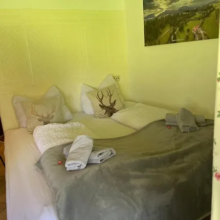 Alpenblick Apartment *