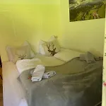 Alpenblick Apartman *